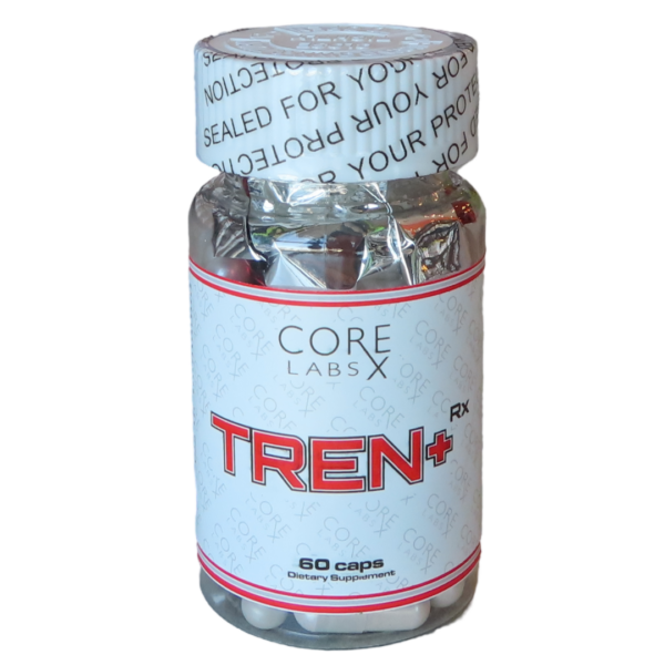 Xtreme Website ()