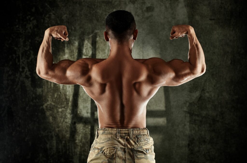 Muscle Growth