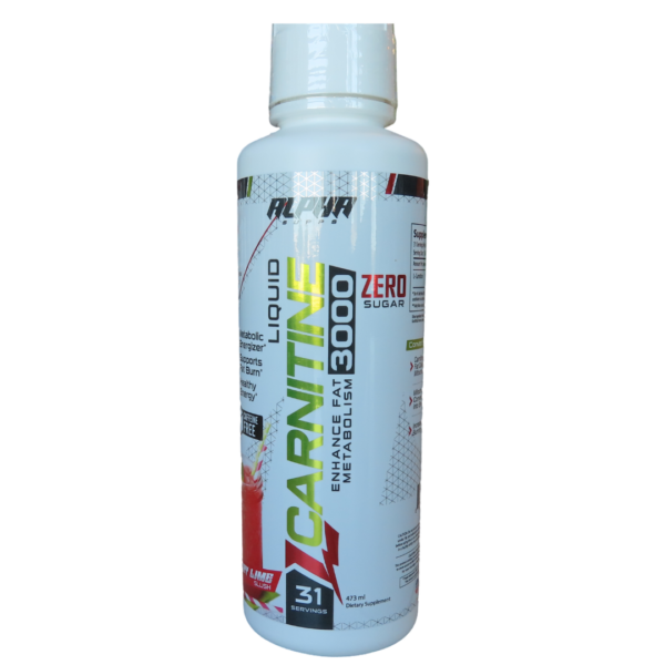 Xtreme Website ()