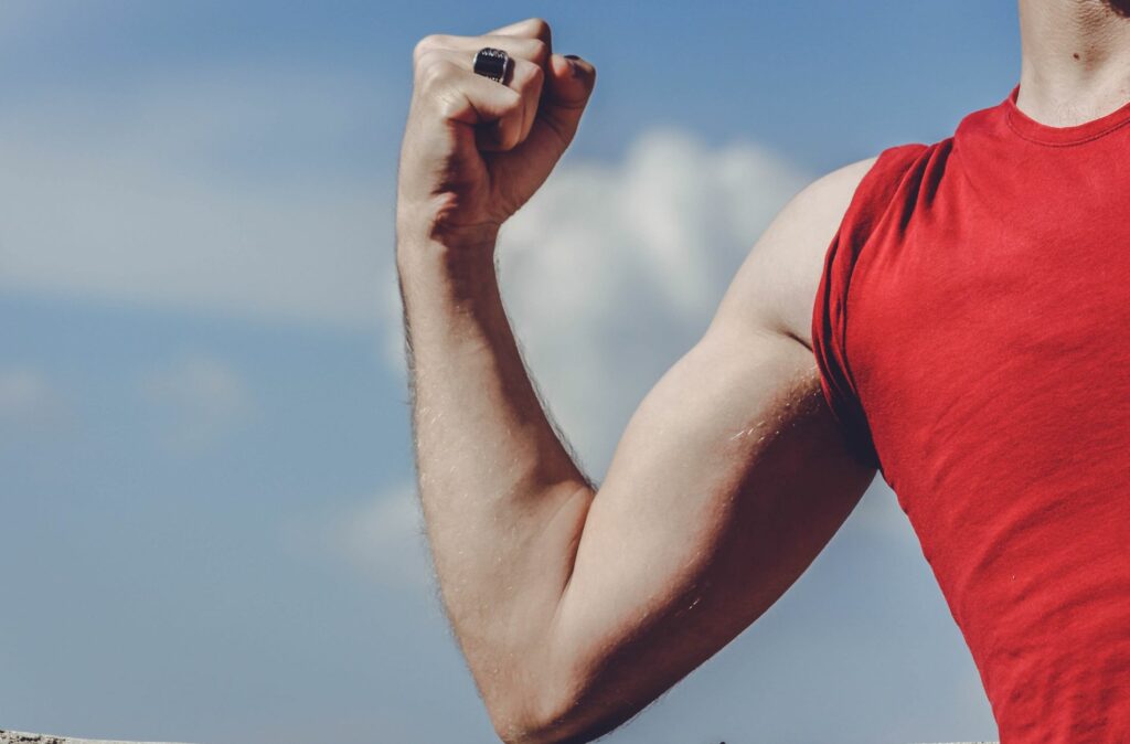 muscle building