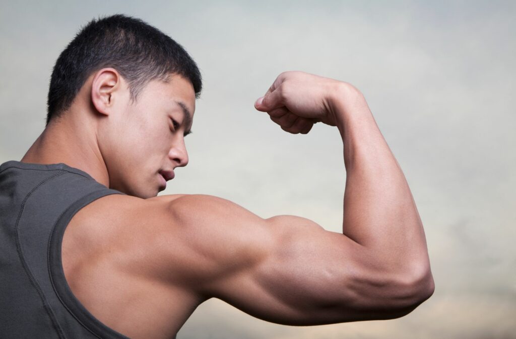 building muscles