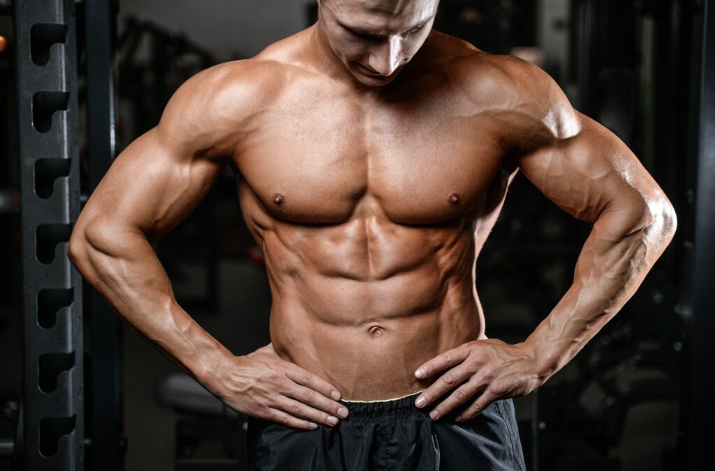 muscle gain